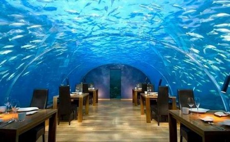 马尔代夫美丽的景点,马尔代夫西部的5个绝美岛屿