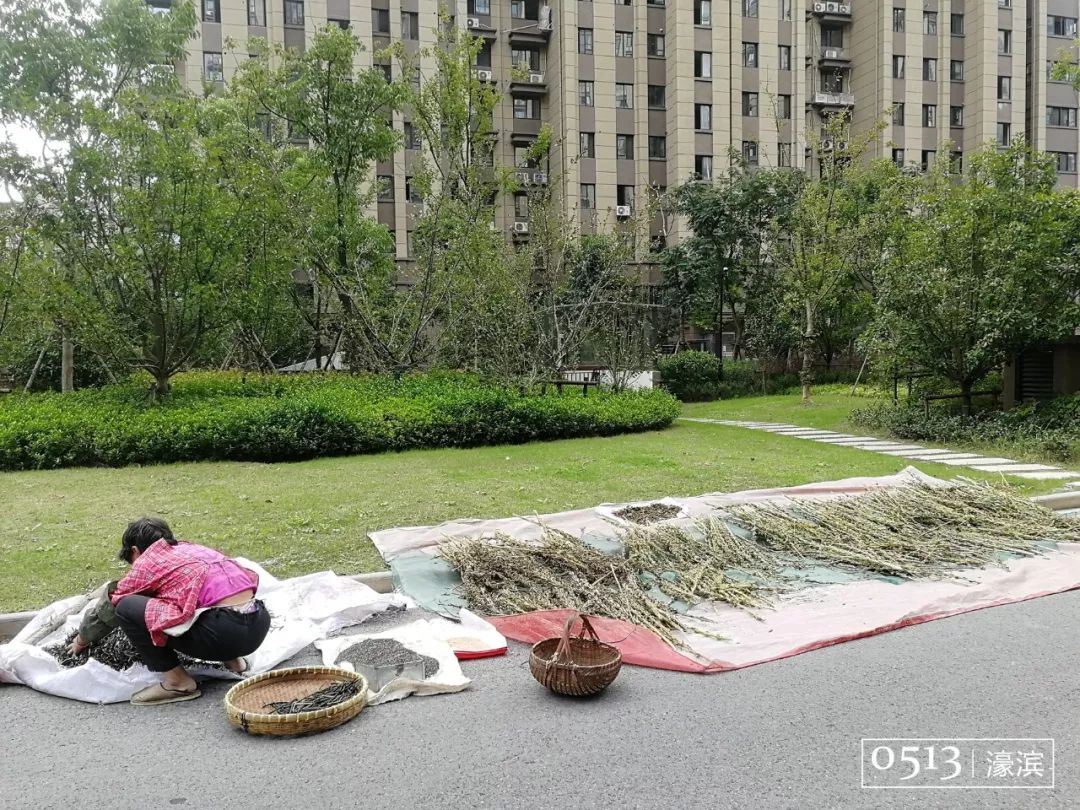 住在紫东的你快乐吗？