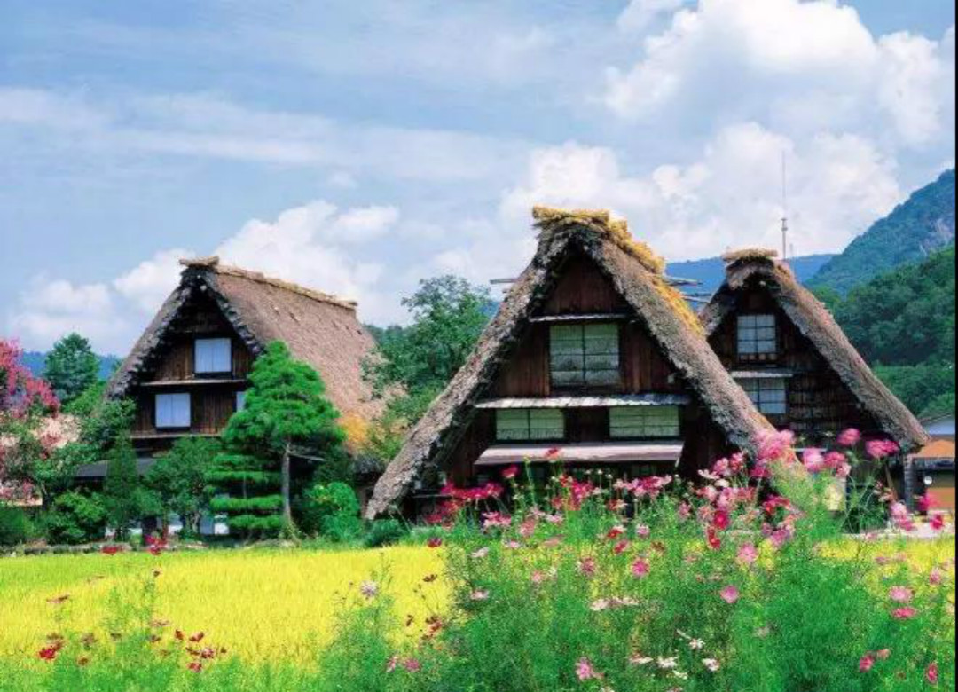 乡村改造田园景观设计,乡村特色复古景观设计