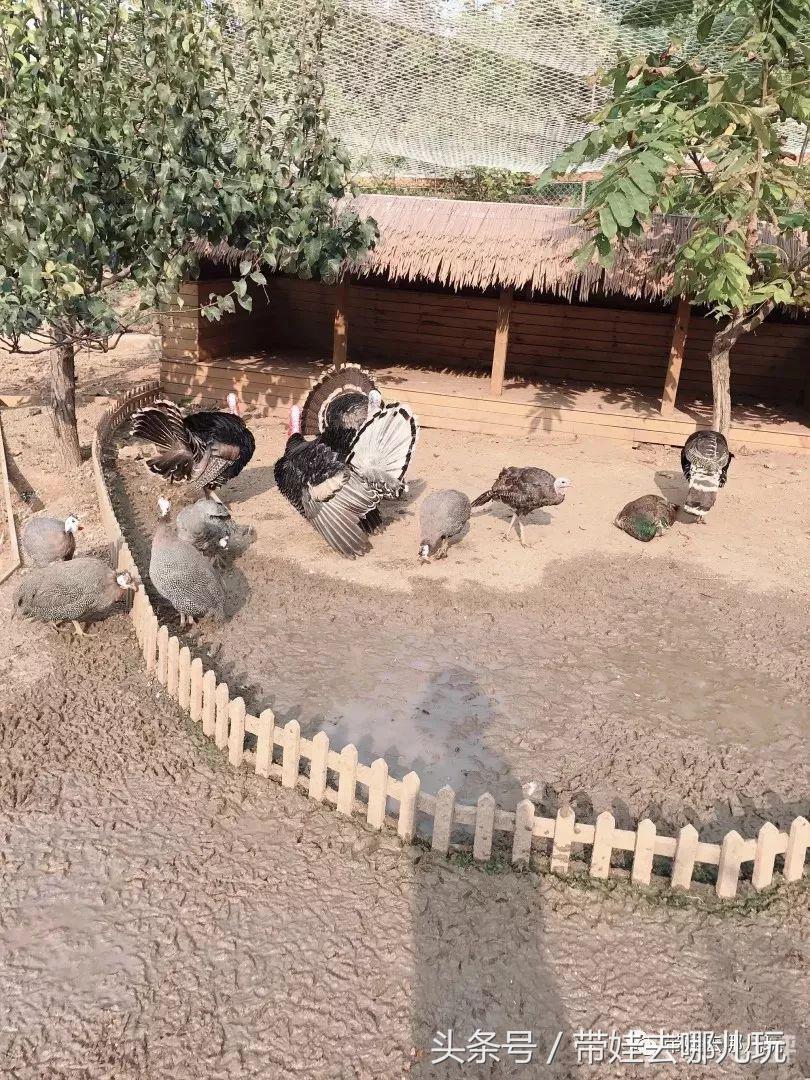 金海湖风景区有啥特点,金海湖风景区有什么玩的