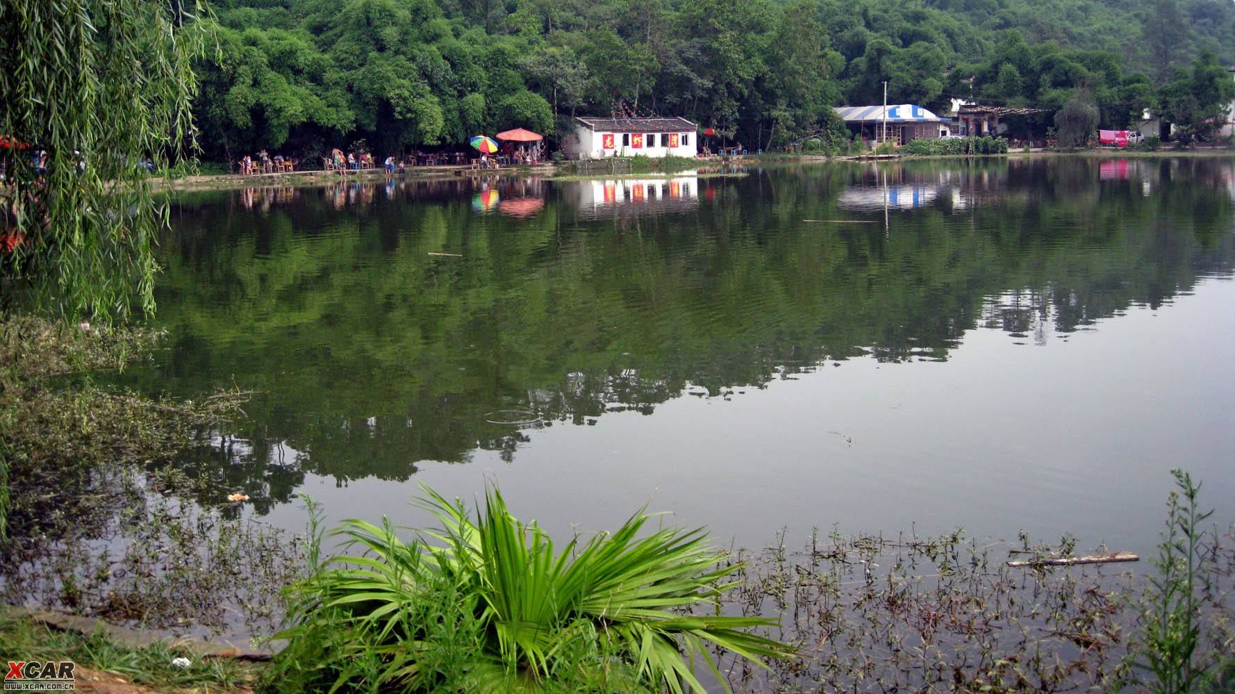 钓鱼遇到河虾闹钩怎么办,钓鱼时遇到窝里有虾闹如何解决