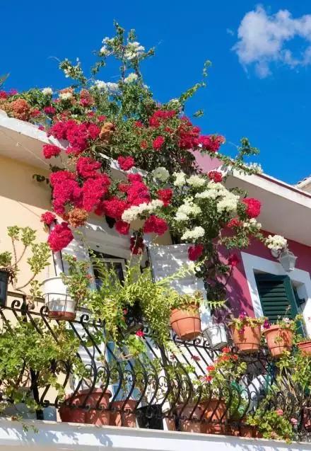 花园洋房阳台设计,阳台打造成小花园