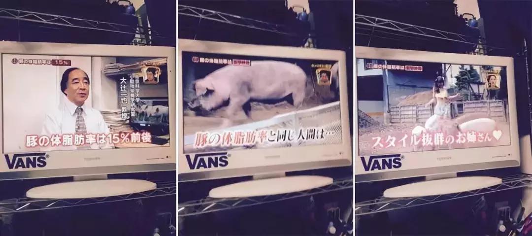 人类在演化中为什么会褪去体毛,人类的体毛怎么进化没了