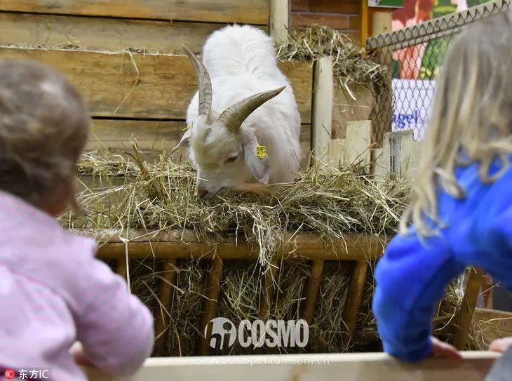 俞飞鸿红色西服,俞飞鸿毛衣穿搭