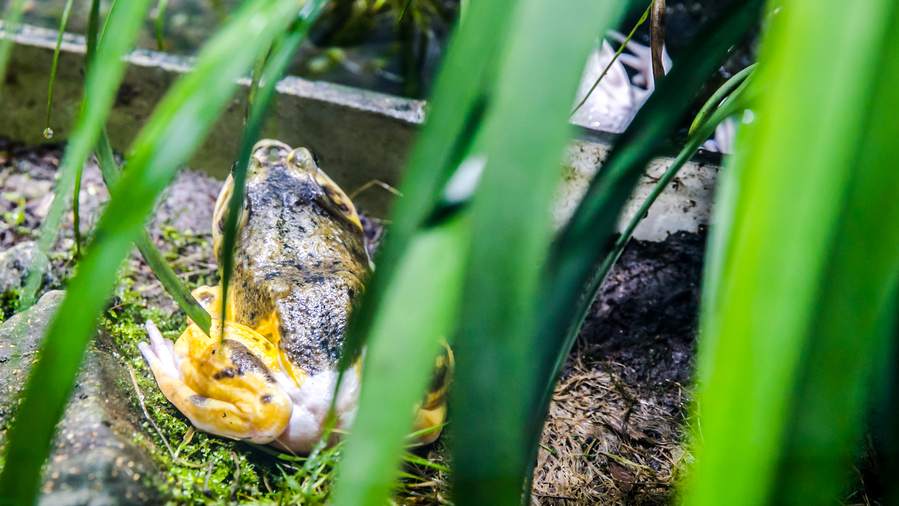 鏉ュ埌骞垮窞鐧戒簯姹囧箍鍦轰笌瑙備紬瑙侀潰,鐧戒簯姹囧箍鍦哄槈骞村崕