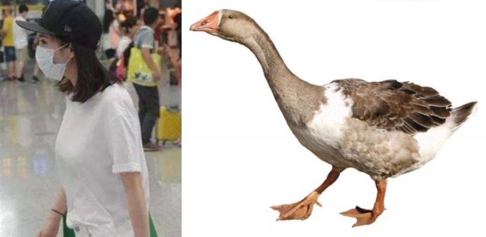 弯驼腰最好的治疗方法,弓腰驼背成人怎么矫正