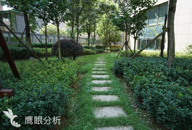 金阳新世界均价从4000元/㎡飙升到14000元/㎡，到底经历了什么？