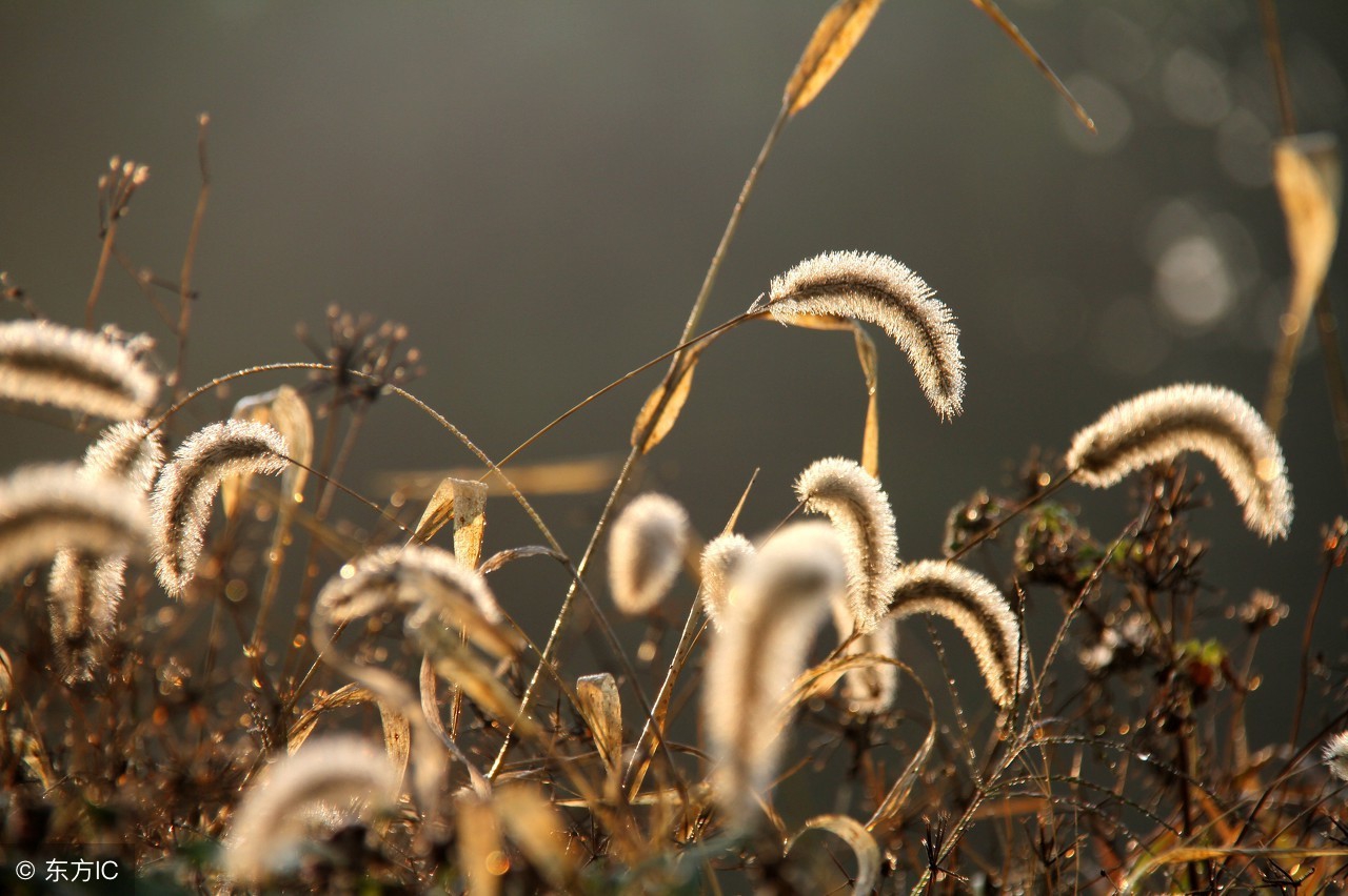 铁道兵战友抒情诗作一组,铁道兵诗歌100首