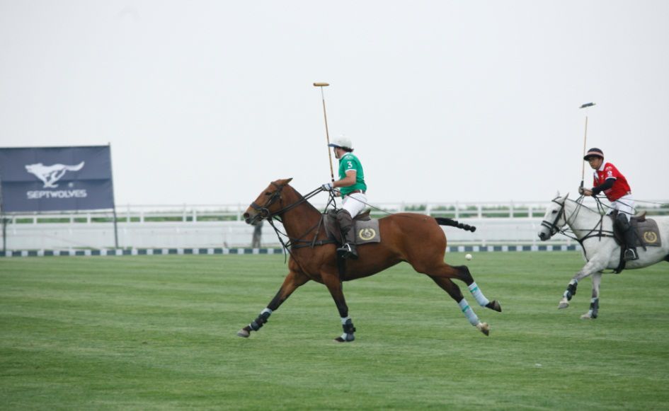 人物志｜七匹狼周永伟：闽派服装的“头狼”