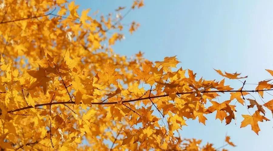 10月新低！广州出发机票仅180块！坐飞机玩转抖音最火网红地