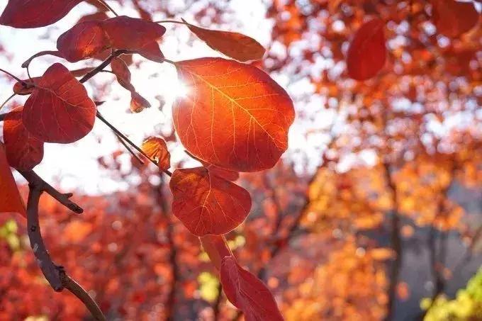 10月新低！广州出发机票仅180块！坐飞机玩转抖音最火网红地