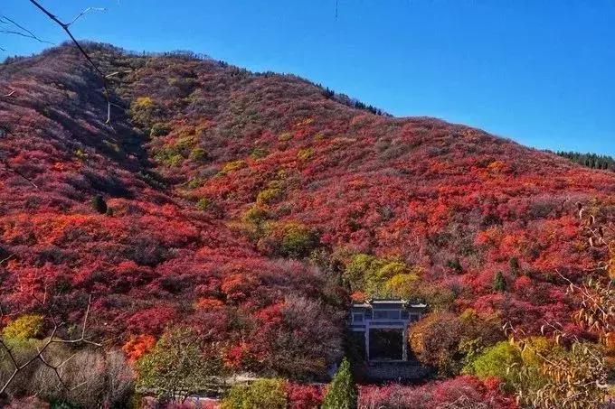 10月新低！广州出发机票仅180块！坐飞机玩转抖音最火网红地