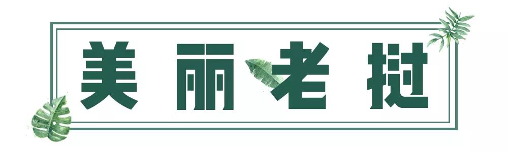 中国坐高铁去泰国,坐高铁去泰国指日可待