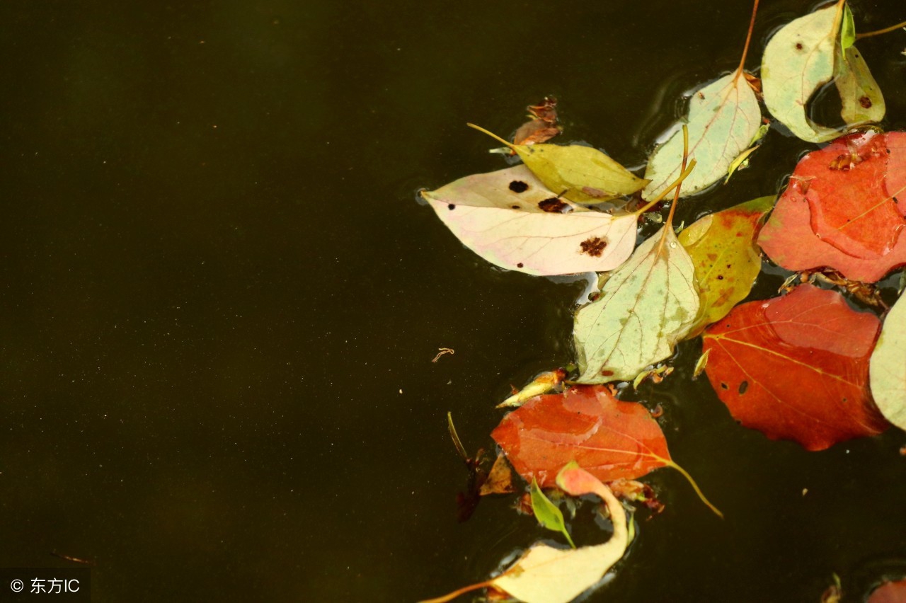 铁道兵战友抒情诗作一组,铁道兵诗歌100首