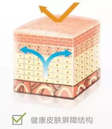 痒痒的皮肤怎么治疗,秋季皮肤过敏泛红发痒小妙招