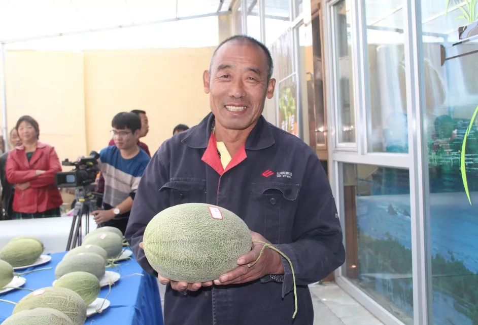 热点｜哈密瓜香又甜，“亲土1号”让土地留住年轻人！