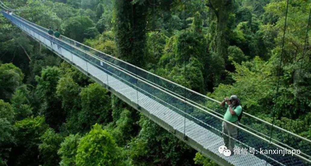 新加坡在世界上人口排名,新加坡人口密度最大的地方