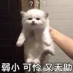 4960元！安庆最新平均工资又双叒叕涨了！你拖后腿了吗？