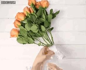 马桶堵了可用什么工具,马桶堵了用工具也疏通不开怎么办