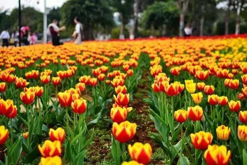 千万不要来柳州，我是认真的！