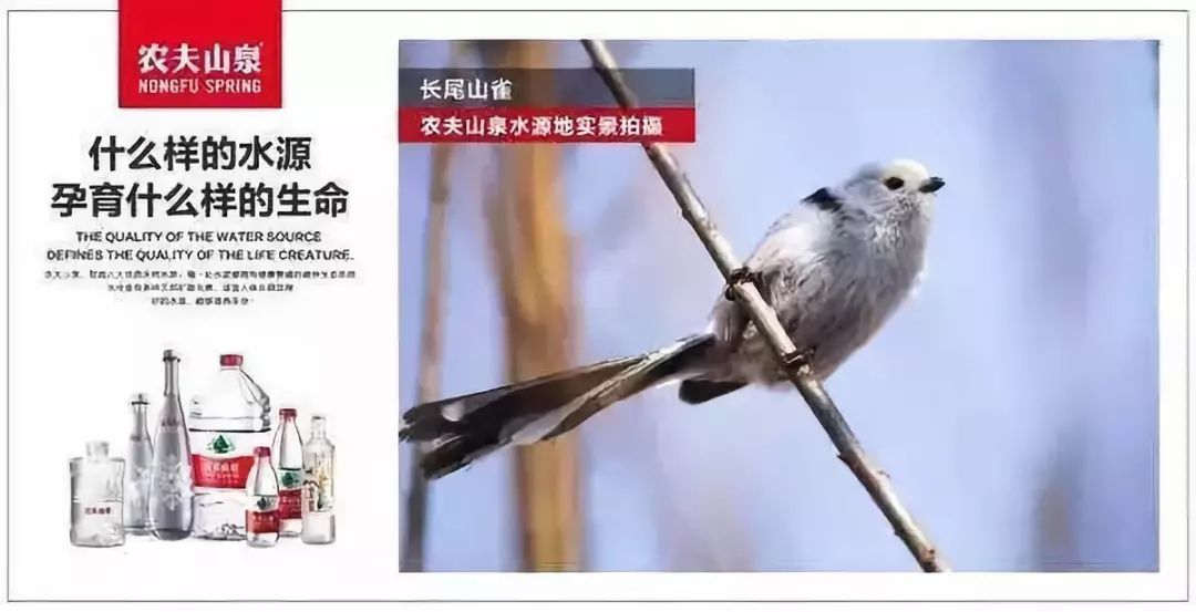 品牌管理到底是在管什么,品牌管理掌握的知识