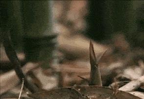 吃遍大连丨新店雨后春笋般冒了出来，一个比一个更具诱惑力！拔不拔草你们说了算？！