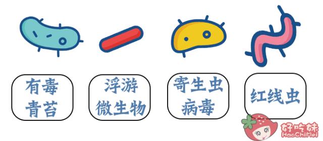 汕头首家清道夫强势来袭!“多喝滚水”终于不会被叫“滚”了!