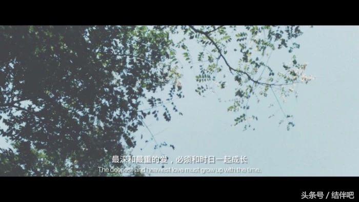 朋友圈里有哪些让人泪奔的瞬间,感人催泪的正能量瞬间