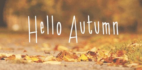 秋日上海城市漫步,秋日的上海街道