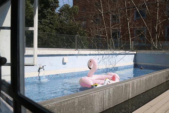 秋日上海城市漫步,秋日的上海街道