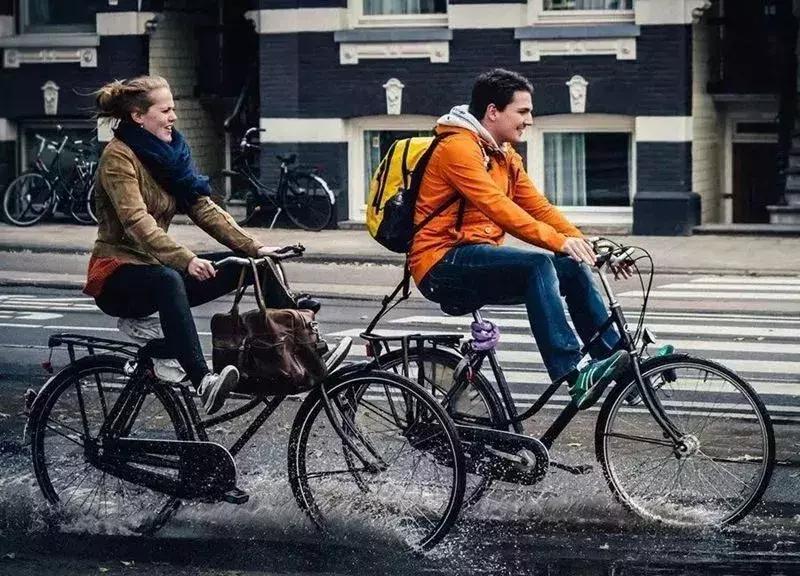 郁金香和风车在哪国,郁金香风车在哪个国家