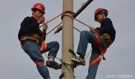 电网爬电线杆,爬电线杆