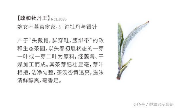 老罗白茶白牡丹,老罗茶叶白牡丹