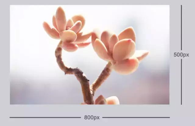 鎵嬫満鎽勫奖鏇茬嚎淇浘,鎽勫奖淇浘鏇茬嚎閮芥槸s鍨嬪悧