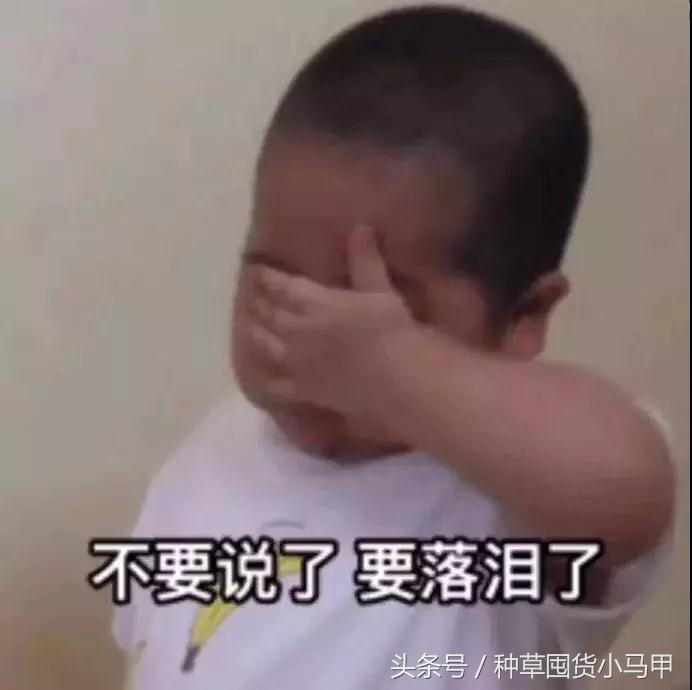 韩妆受核废水影响吗,韩妆真的鸡肋没效果吗