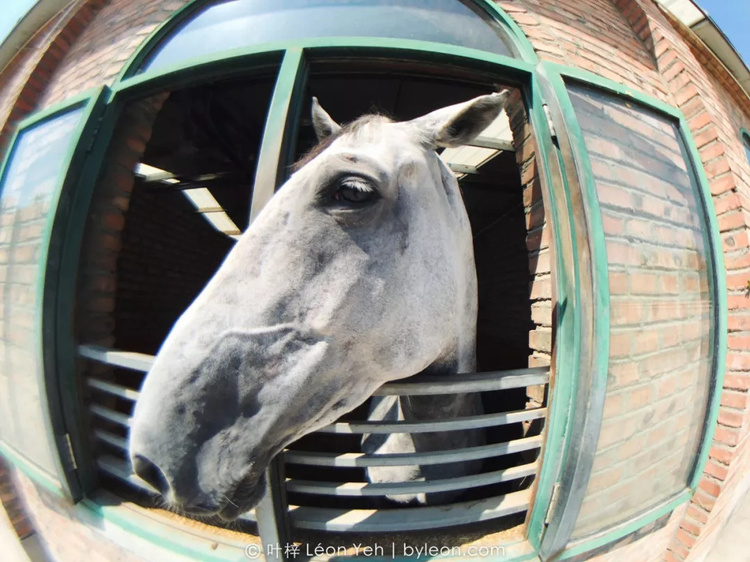 鱼眼镜头到底美在哪里,鱼眼镜头下的摄影