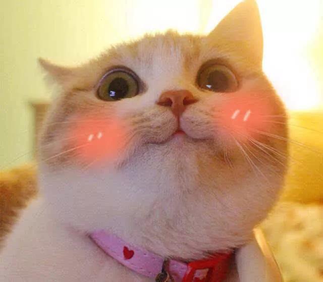 新手戴美瞳需要注意哪些,新手该如何正确的戴美瞳