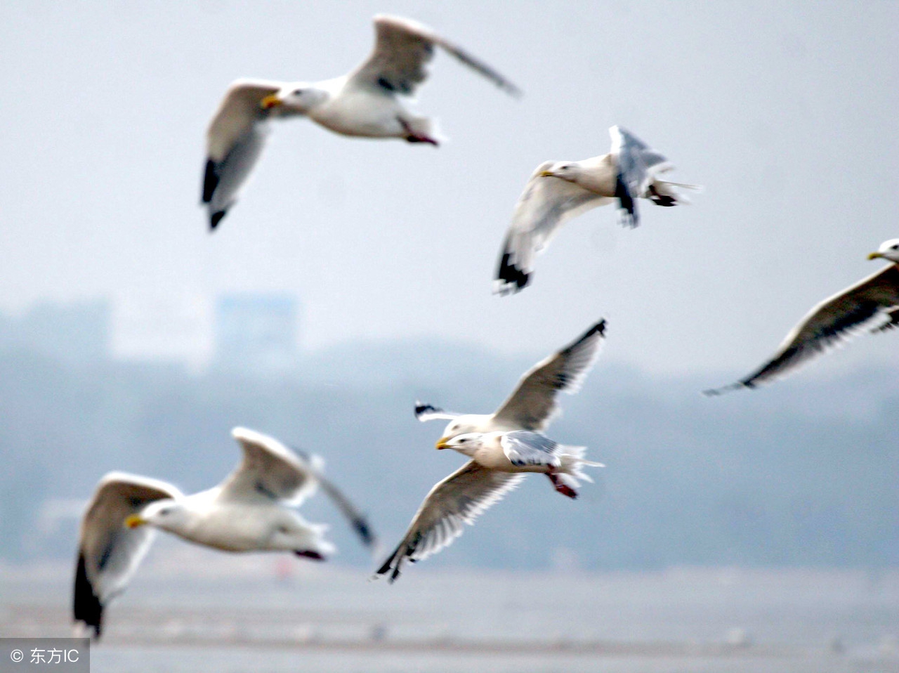 努力:Lifewillnevermaltreateverypersonwhoworkshard.