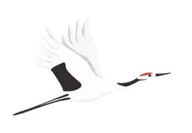 舞动广场健身操,2018南阳市广场舞健身操