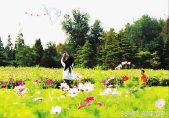 卵巢早衰有什么危害,卵巢早衰最佳恢复操