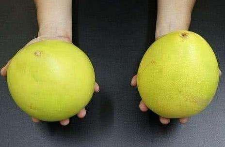 柚子又酸又苦是怎么回事,柚子又酸又苦要怎么办