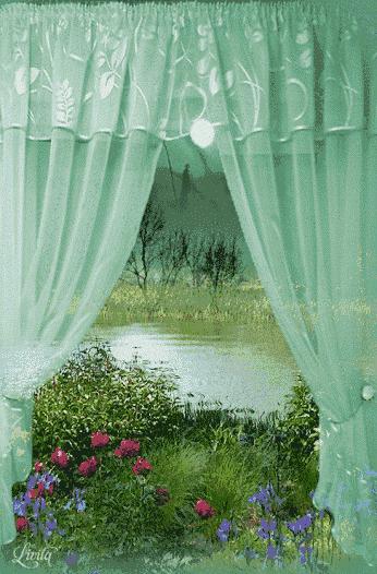 10张会动的照片,11张会动的图片