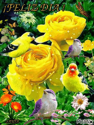 10张会动的照片,11张会动的图片