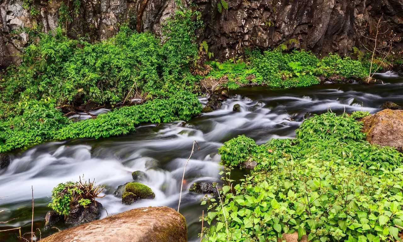 看火山泡温泉：北回归线上四季如春的腾冲特有的温暖