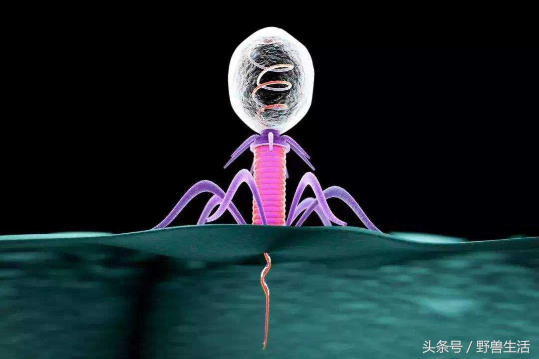 雾霾癌,雾霾癌症