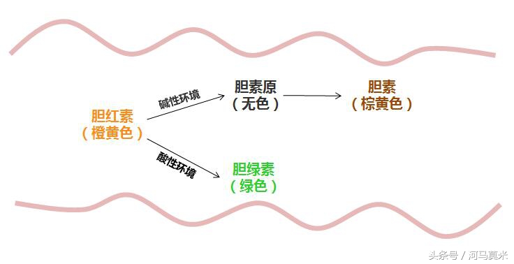为啥宝宝拉绿色便便,为什么宝宝拉绿色的屎是着凉