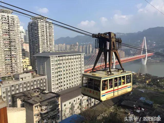 洛阳机场客流,2019年洛阳机场客流