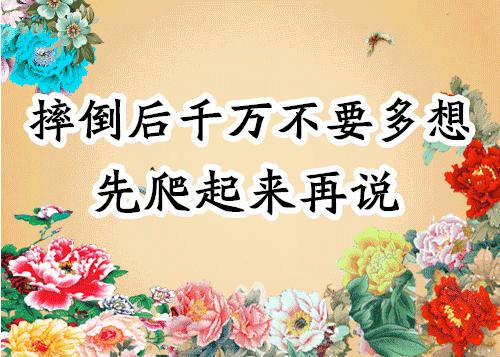 会动的图片21张太美了,会动的风景图片大全