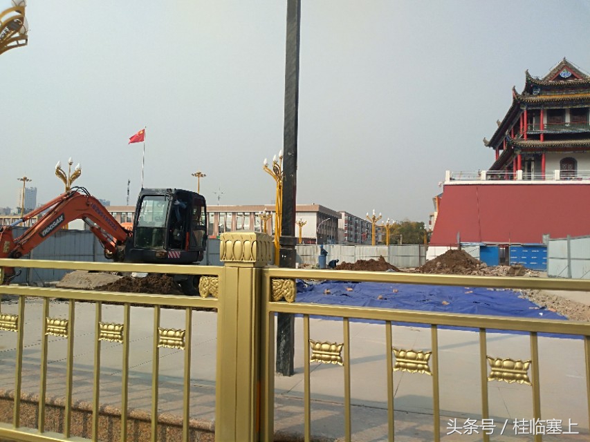 银川人民广场西门口,银川人民广场梧桐树