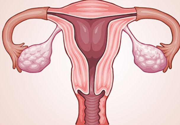 没成功进入子宫的“精子”去哪儿了？看完就知道了，别不好意思！